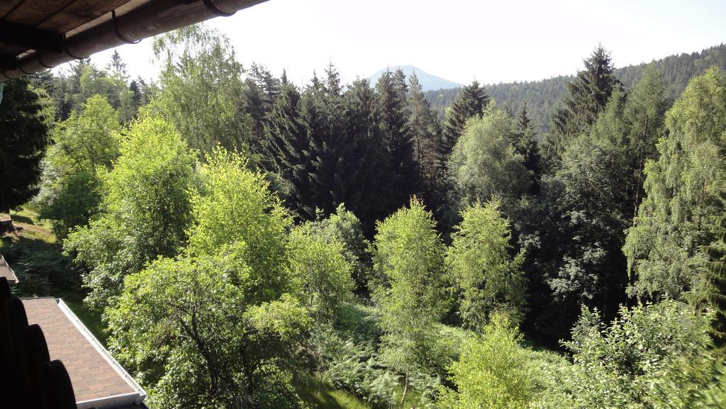 Trixi's Holiday home Hrensko